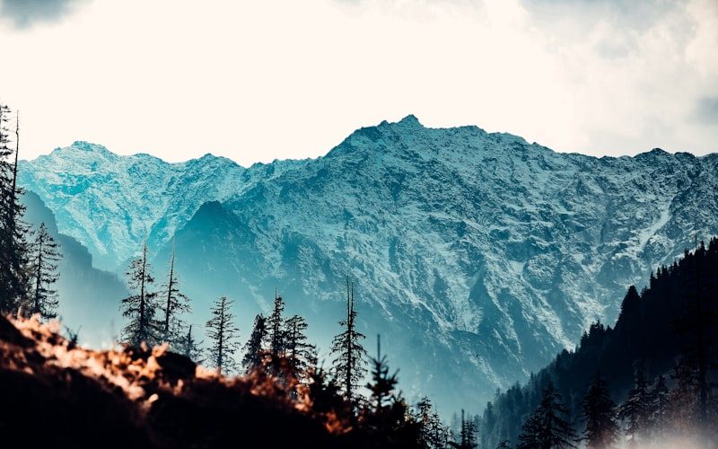 Georgia Tour Package